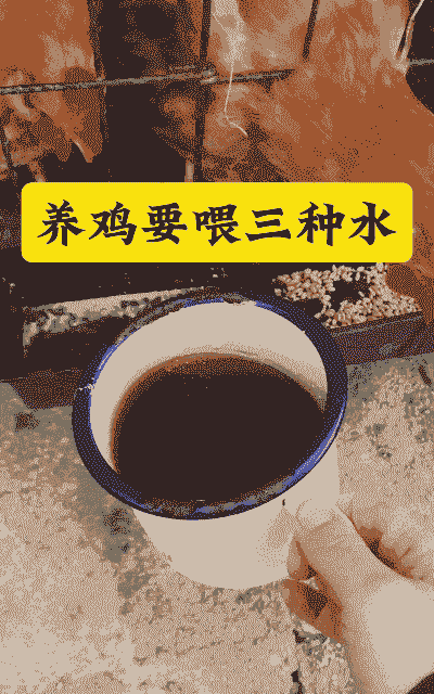 肉鸡饲料加水好吗