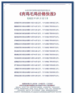 滨州肉鸡毛鸡价格