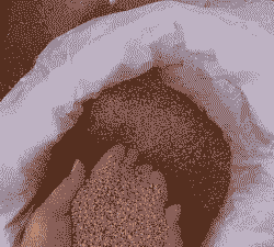 肉鸡颗粒饲料的危害