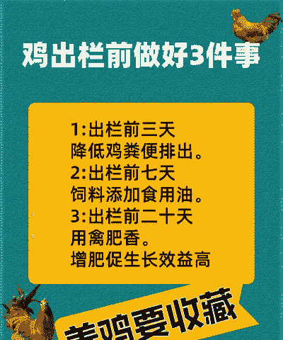 肉鸡出栏前如何减少死亡