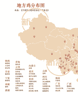 肉鸡养殖量最大的省份
