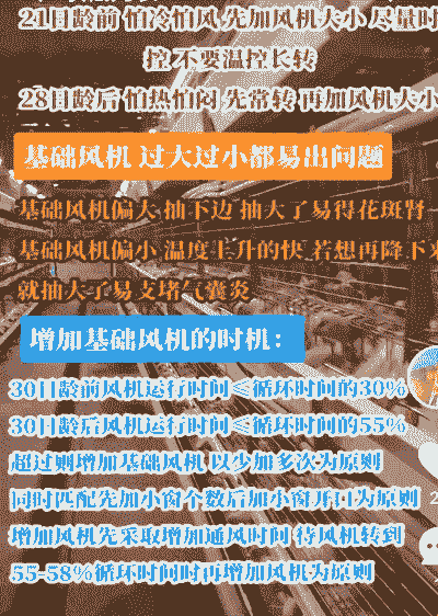 通风量对肉鸡的影响