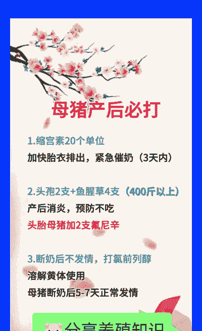 母猪的产后护理原话