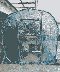 养花棚子哪卖 养花棚子哪卖