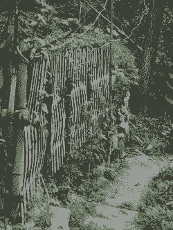 木栅栏放土养花