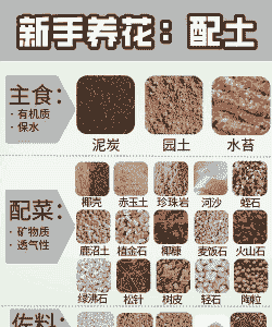 最佳养花配土比例