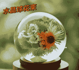 用水晶球养花
