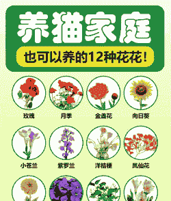 养花家里有猫好吗