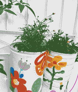 小罐奶粉桶养花