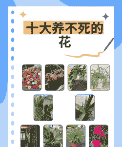 养花不好是啥命运