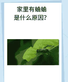 养花会有蟋蟀吗