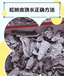 松树皮泡水养花好吗 松树皮泡水养花好吗