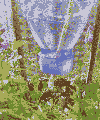 自制养花自动吸水器