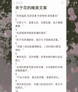 养花养眼的文案句子