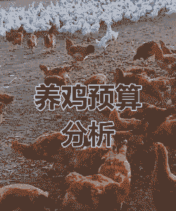 养殖一千只土鸡多少钱