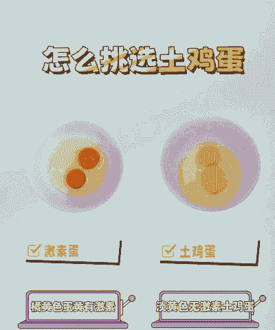 土鸡蛋和养殖鸡蛋区别