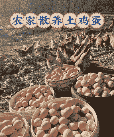 土鸡蛋如何养殖