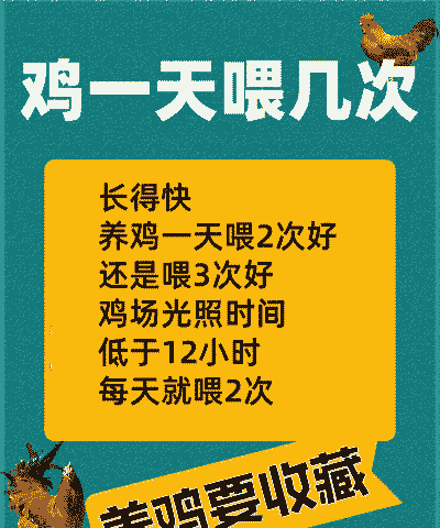 土鸡养殖时间多长