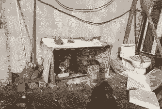 土鸡最佳养殖空间