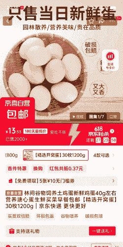 养殖土鸡蛋成本