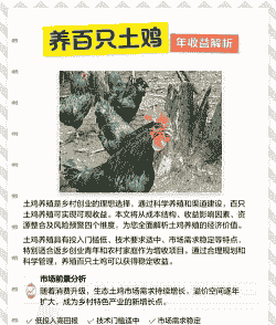 本地土鸡养殖成本