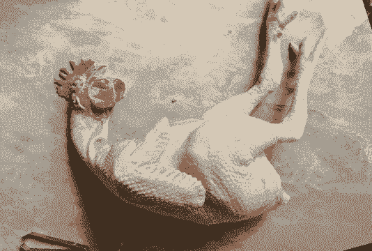 土鸡养殖多久好吃