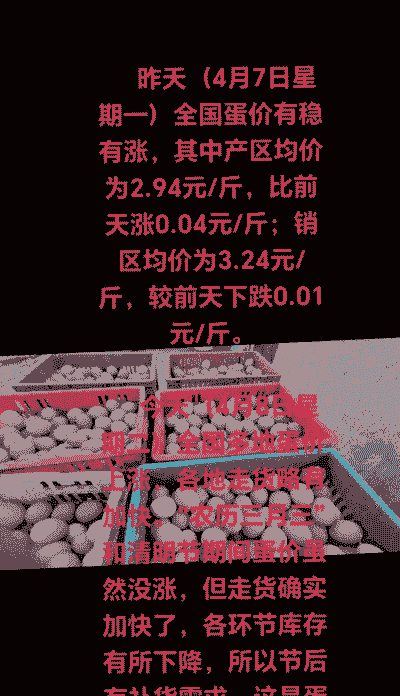 土鸡蛋养殖费用