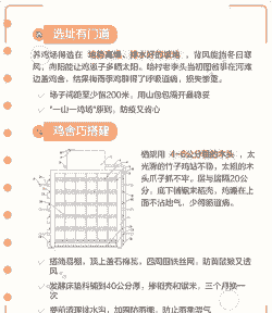 土鸡养殖防疫方法