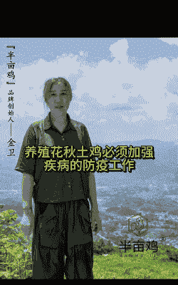 土鸡养殖防疫措施