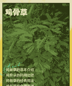 养殖土鸡适合什么草药