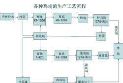 土鸡养殖工艺流程