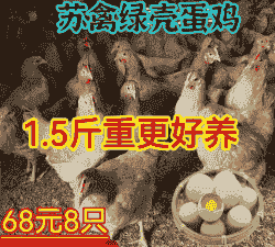 农家土鸡养殖时间多久