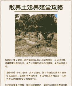 散养土鸡养殖规定