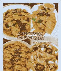 室内养殖土鸡的做法