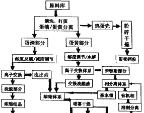 土鸡蛋养殖技术流程