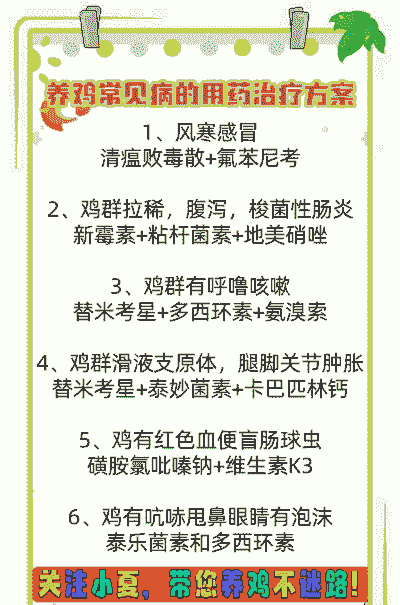 土鸡养殖技术和配方