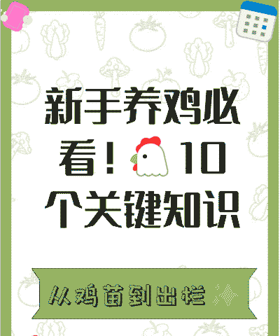 土鸡养殖要注意哪些