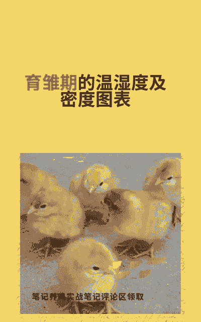 土鸡苗养殖的温度