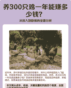 自己养殖土鸡赚钱吗