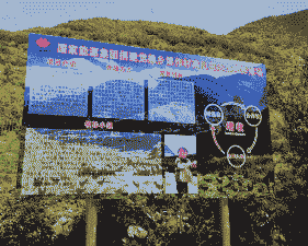 养殖土鸡项目团队简介