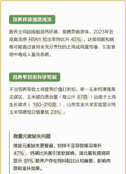 养殖土鸡有风险吗