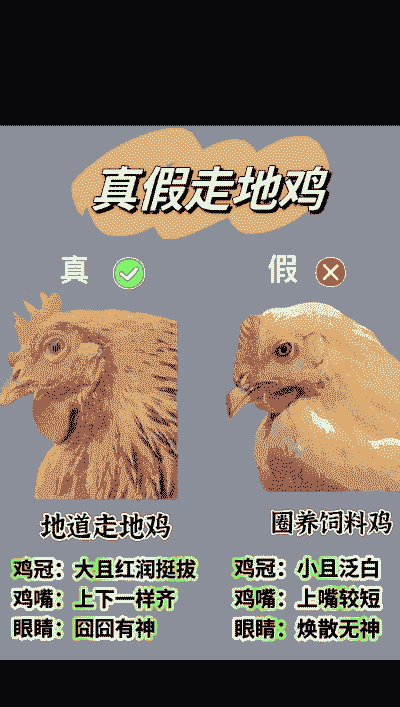 大量养殖土鸡的利弊