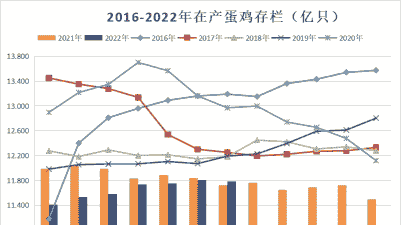 养殖土鸡产蛋量