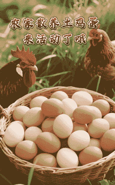 养殖鸡蛋与土鸡蛋