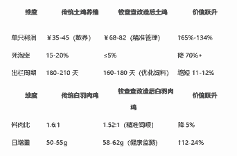 养殖土鸡肉料比