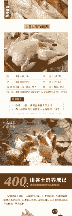 土鸡养殖营养要求多少