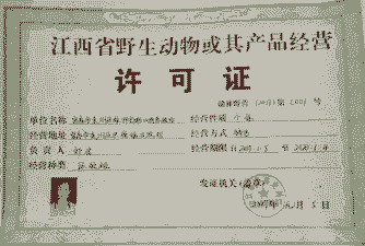 土鸡养殖要办什么证件呢