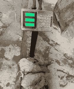 土鸡养殖食量多少斤正常