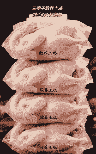 养殖土鸡养几年最划算