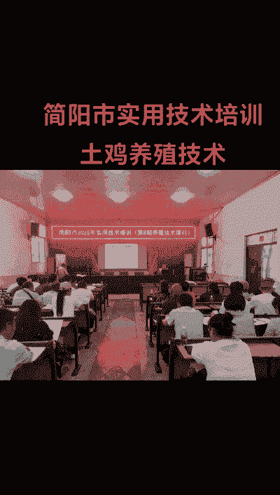 土鸡养殖培训内容有哪些